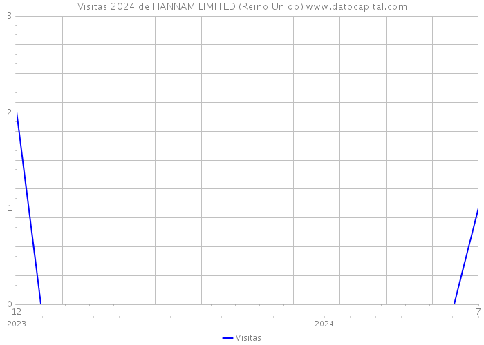 Visitas 2024 de HANNAM LIMITED (Reino Unido) 