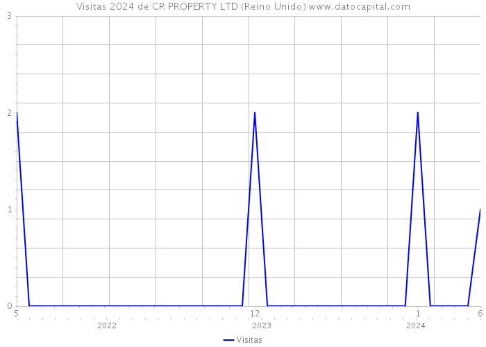 Visitas 2024 de CR PROPERTY LTD (Reino Unido) 