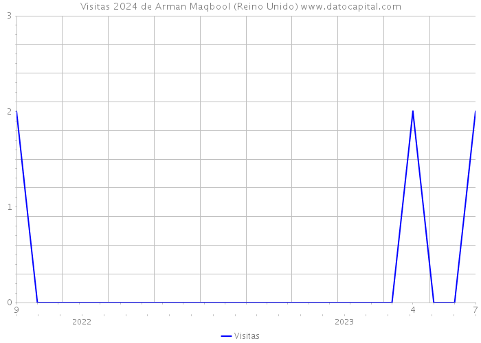 Visitas 2024 de Arman Maqbool (Reino Unido) 