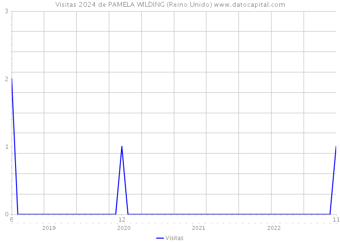 Visitas 2024 de PAMELA WILDING (Reino Unido) 