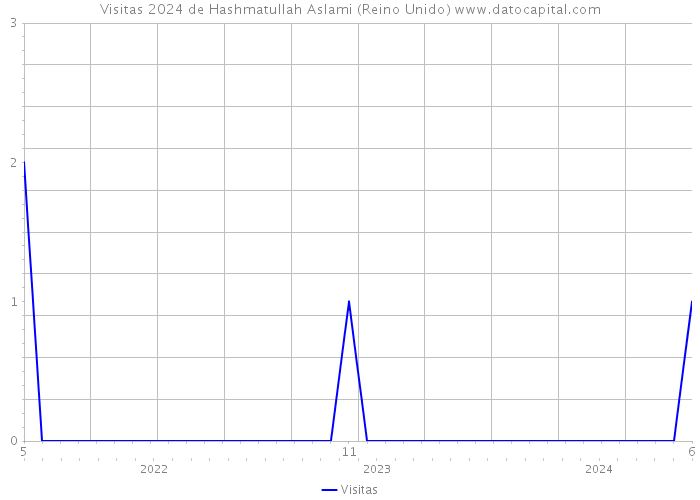 Visitas 2024 de Hashmatullah Aslami (Reino Unido) 