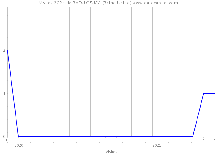 Visitas 2024 de RADU CEUCA (Reino Unido) 