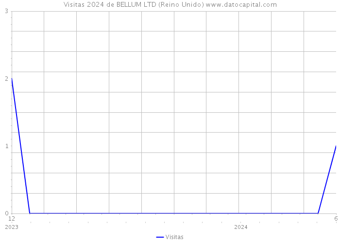 Visitas 2024 de BELLUM LTD (Reino Unido) 