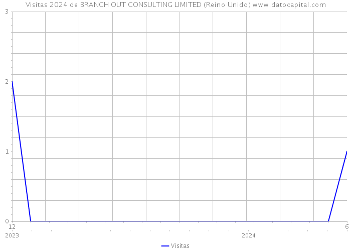 Visitas 2024 de BRANCH OUT CONSULTING LIMITED (Reino Unido) 