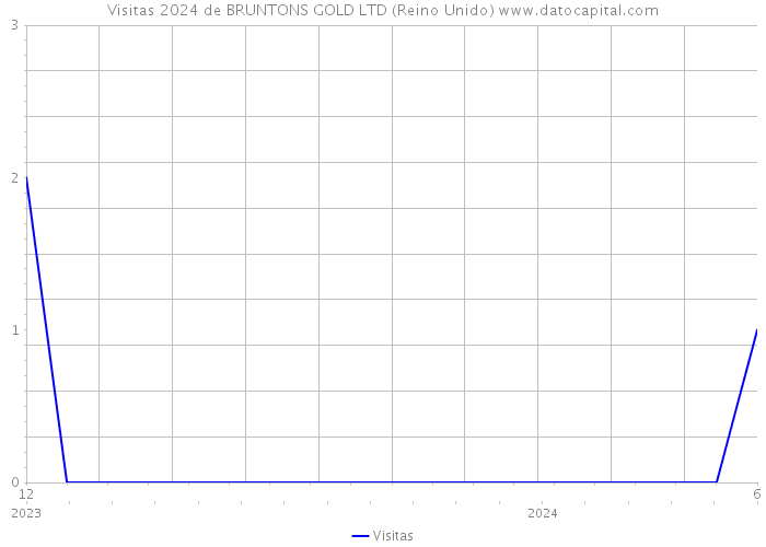 Visitas 2024 de BRUNTONS GOLD LTD (Reino Unido) 