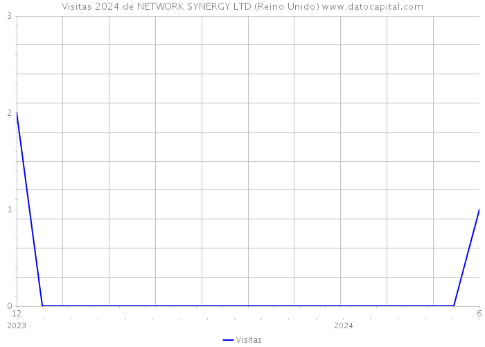 Visitas 2024 de NETWORK SYNERGY LTD (Reino Unido) 