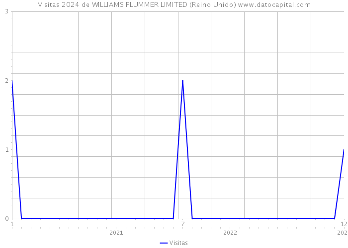 Visitas 2024 de WILLIAMS PLUMMER LIMITED (Reino Unido) 