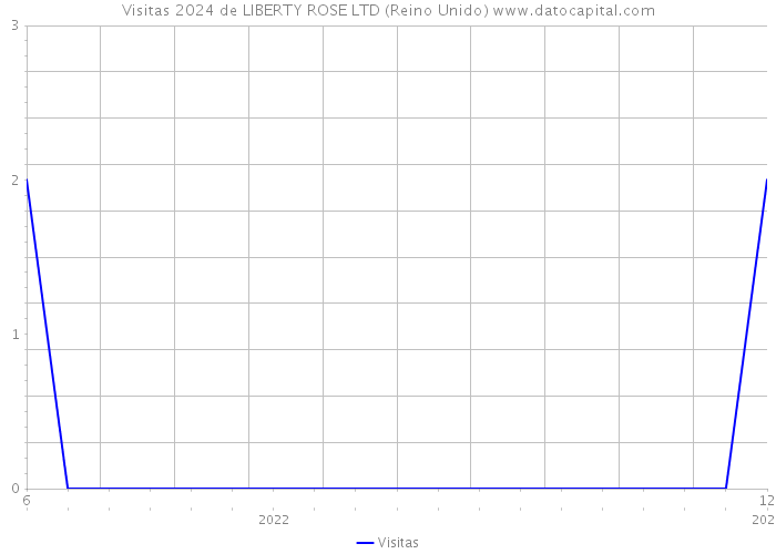 Visitas 2024 de LIBERTY ROSE LTD (Reino Unido) 