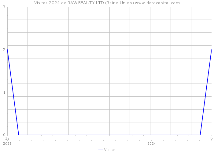 Visitas 2024 de RAW BEAUTY LTD (Reino Unido) 