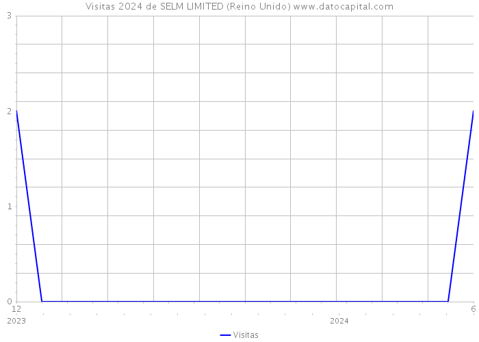 Visitas 2024 de SELM LIMITED (Reino Unido) 