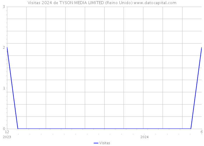 Visitas 2024 de TYSON MEDIA LIMITED (Reino Unido) 