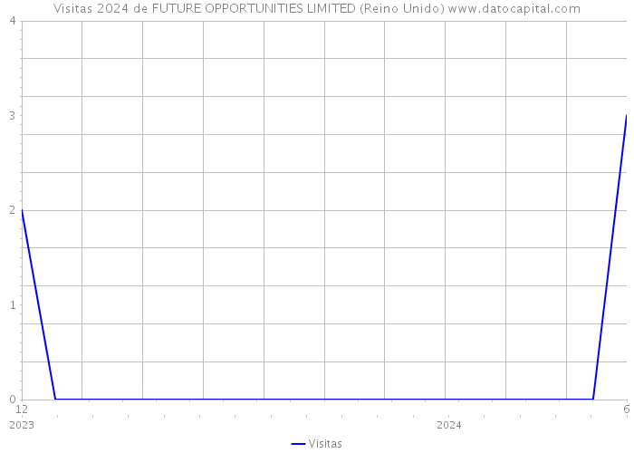 Visitas 2024 de FUTURE OPPORTUNITIES LIMITED (Reino Unido) 