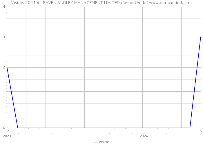 Visitas 2024 de RAVEN AUDLEY MANAGEMENT LIMITED (Reino Unido) 