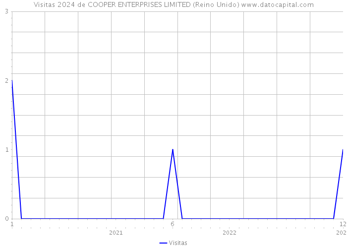 Visitas 2024 de COOPER ENTERPRISES LIMITED (Reino Unido) 