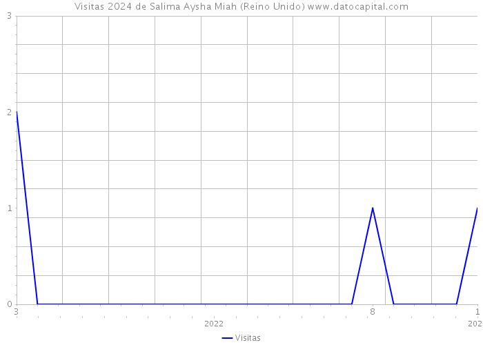 Visitas 2024 de Salima Aysha Miah (Reino Unido) 