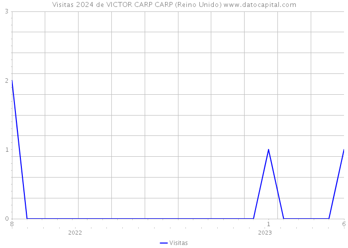 Visitas 2024 de VICTOR CARP CARP (Reino Unido) 