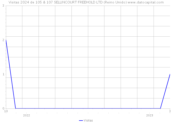 Visitas 2024 de 105 & 107 SELLINCOURT FREEHOLD LTD (Reino Unido) 