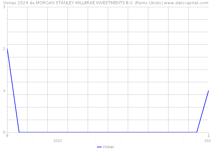 Visitas 2024 de MORGAN STANLEY MILLBRAE INVESTMENTS B.V. (Reino Unido) 