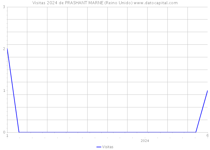 Visitas 2024 de PRASHANT MARNE (Reino Unido) 