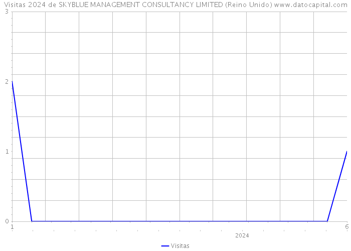 Visitas 2024 de SKYBLUE MANAGEMENT CONSULTANCY LIMITED (Reino Unido) 