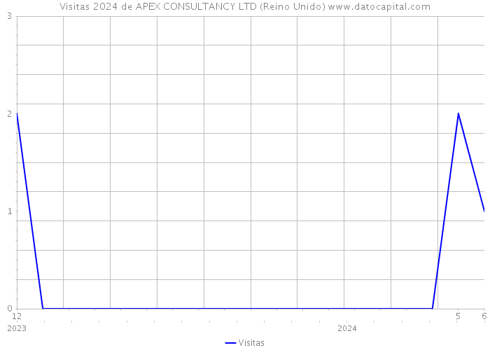 Visitas 2024 de APEX CONSULTANCY LTD (Reino Unido) 