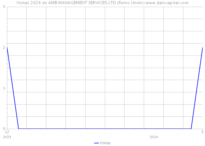 Visitas 2024 de AMB MANAGEMENT SERVICES LTD (Reino Unido) 