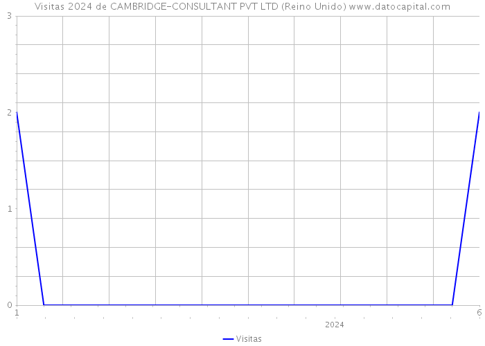 Visitas 2024 de CAMBRIDGE-CONSULTANT PVT LTD (Reino Unido) 