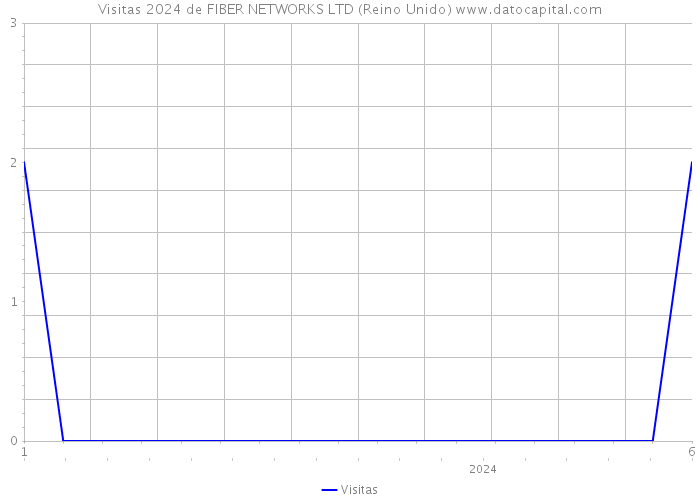 Visitas 2024 de FIBER NETWORKS LTD (Reino Unido) 