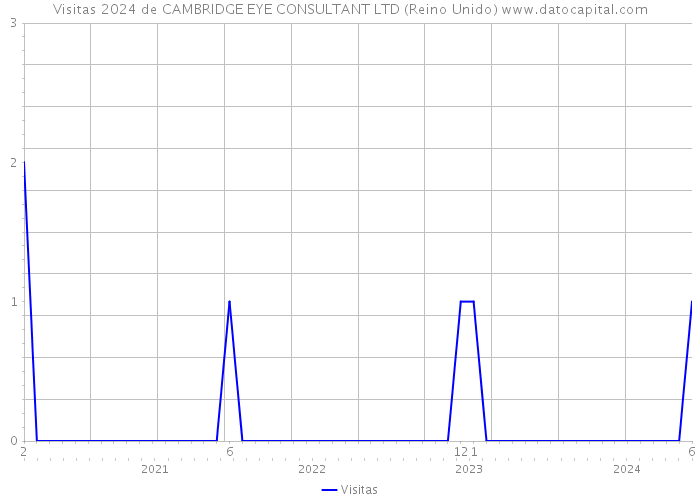 Visitas 2024 de CAMBRIDGE EYE CONSULTANT LTD (Reino Unido) 