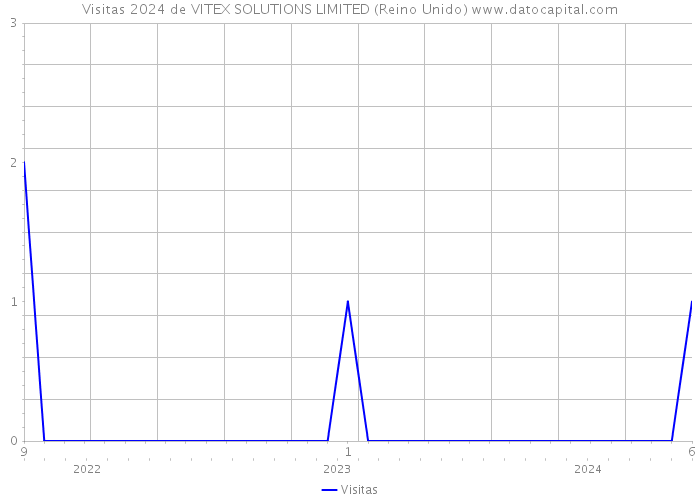 Visitas 2024 de VITEX SOLUTIONS LIMITED (Reino Unido) 