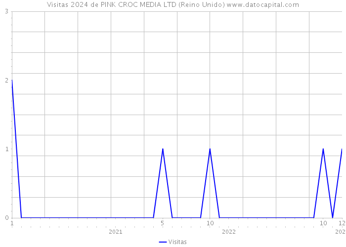 Visitas 2024 de PINK CROC MEDIA LTD (Reino Unido) 