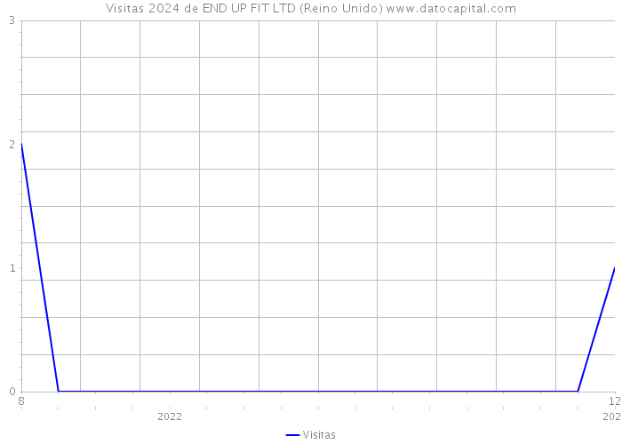 Visitas 2024 de END UP FIT LTD (Reino Unido) 