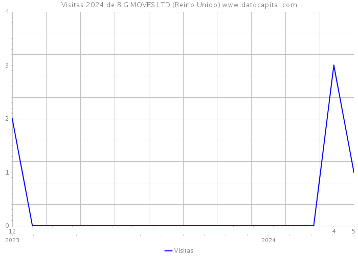 Visitas 2024 de BIG MOVES LTD (Reino Unido) 