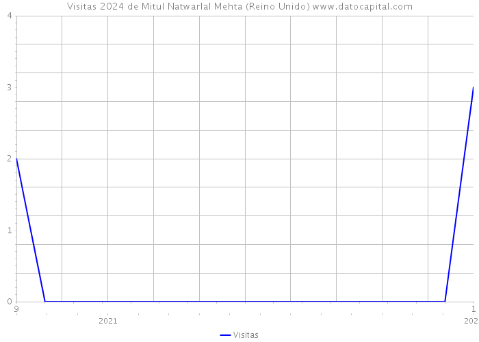 Visitas 2024 de Mitul Natwarlal Mehta (Reino Unido) 