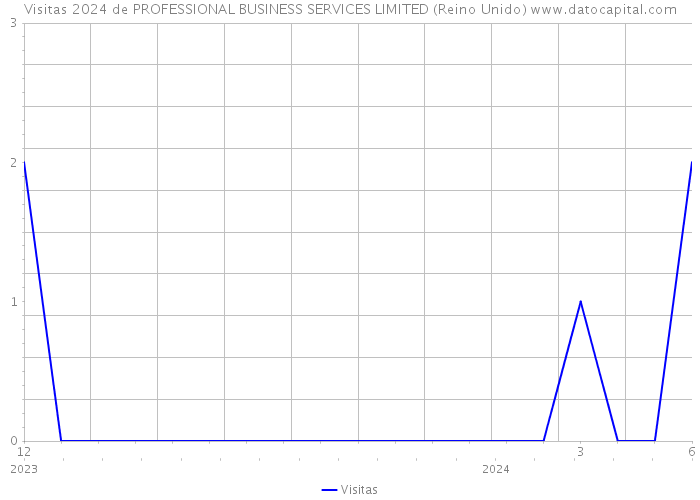 Visitas 2024 de PROFESSIONAL BUSINESS SERVICES LIMITED (Reino Unido) 