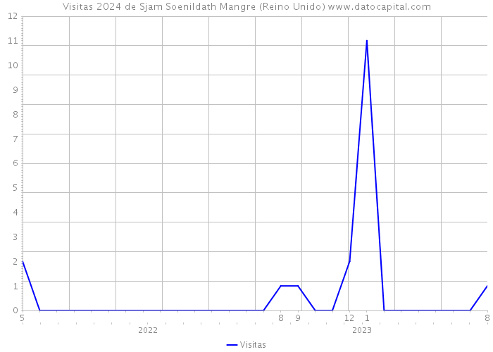 Visitas 2024 de Sjam Soenildath Mangre (Reino Unido) 