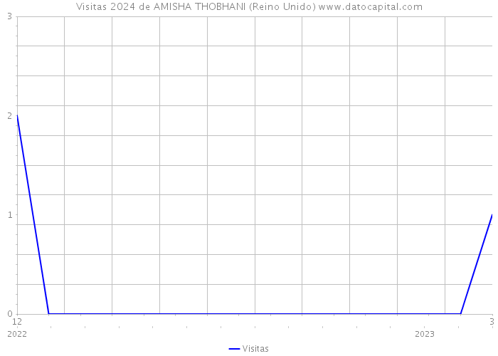 Visitas 2024 de AMISHA THOBHANI (Reino Unido) 