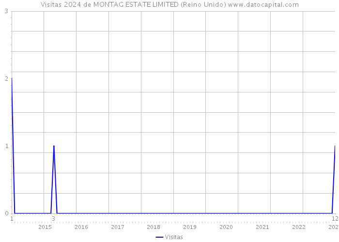 Visitas 2024 de MONTAG ESTATE LIMITED (Reino Unido) 