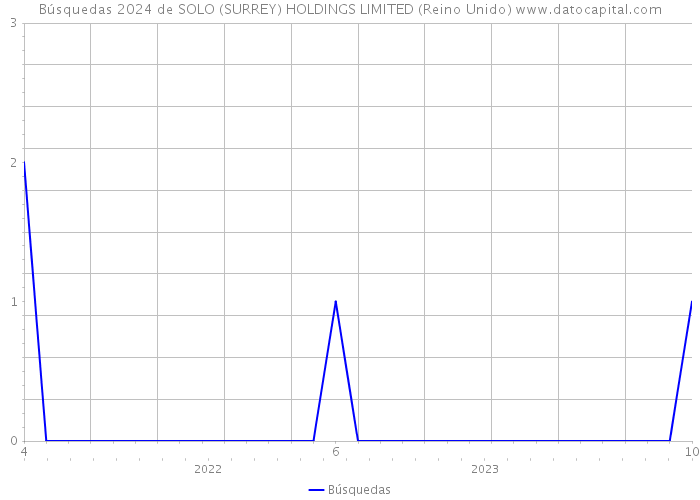 Búsquedas 2024 de SOLO (SURREY) HOLDINGS LIMITED (Reino Unido) 