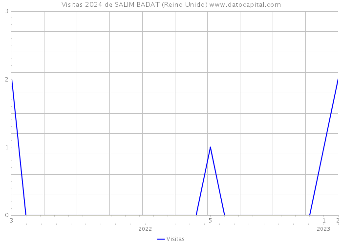 Visitas 2024 de SALIM BADAT (Reino Unido) 