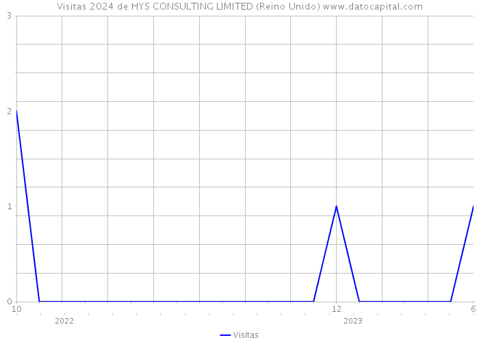 Visitas 2024 de HYS CONSULTING LIMITED (Reino Unido) 