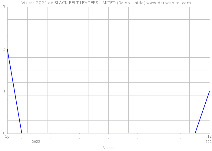 Visitas 2024 de BLACK BELT LEADERS LIMITED (Reino Unido) 