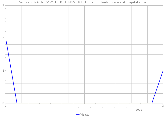 Visitas 2024 de PV WILD HOLDINGS UK LTD (Reino Unido) 