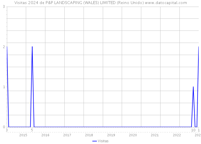 Visitas 2024 de P&P LANDSCAPING (WALES) LIMITED (Reino Unido) 