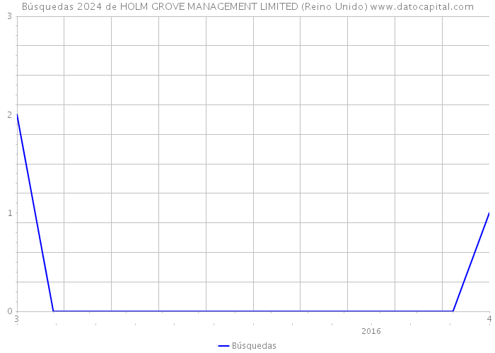 Búsquedas 2024 de HOLM GROVE MANAGEMENT LIMITED (Reino Unido) 