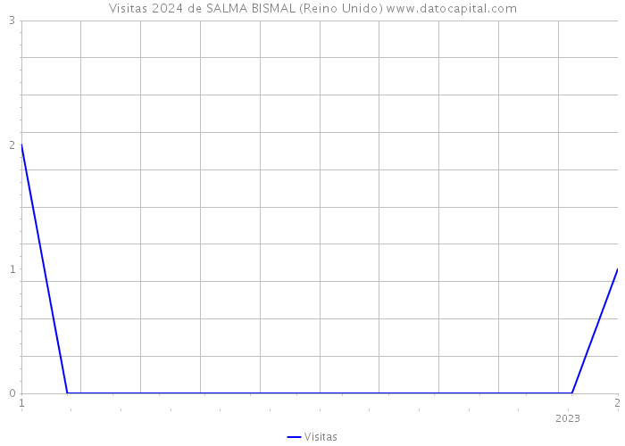 Visitas 2024 de SALMA BISMAL (Reino Unido) 