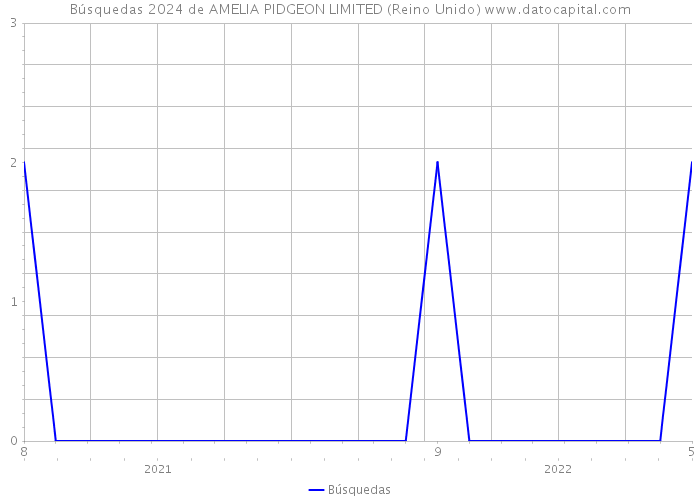 Búsquedas 2024 de AMELIA PIDGEON LIMITED (Reino Unido) 