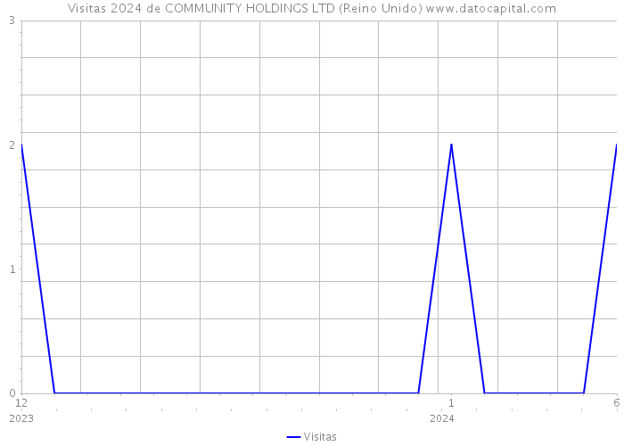 Visitas 2024 de COMMUNITY HOLDINGS LTD (Reino Unido) 