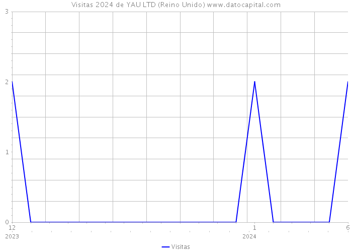 Visitas 2024 de YAU LTD (Reino Unido) 