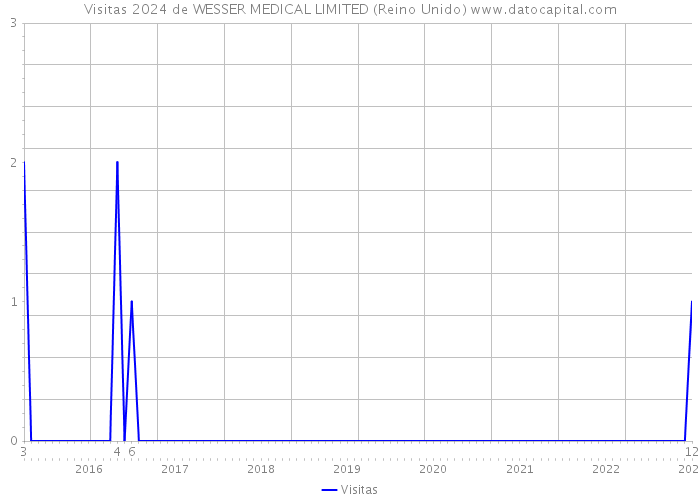 Visitas 2024 de WESSER MEDICAL LIMITED (Reino Unido) 